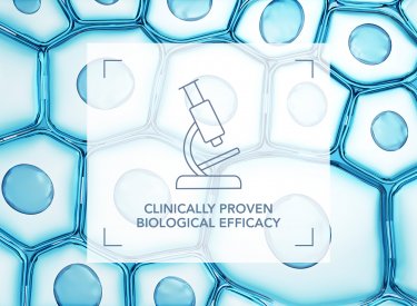 Clinically proven efficacy Clinically proven efficacy