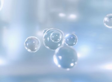 our company be driven by biomimetism